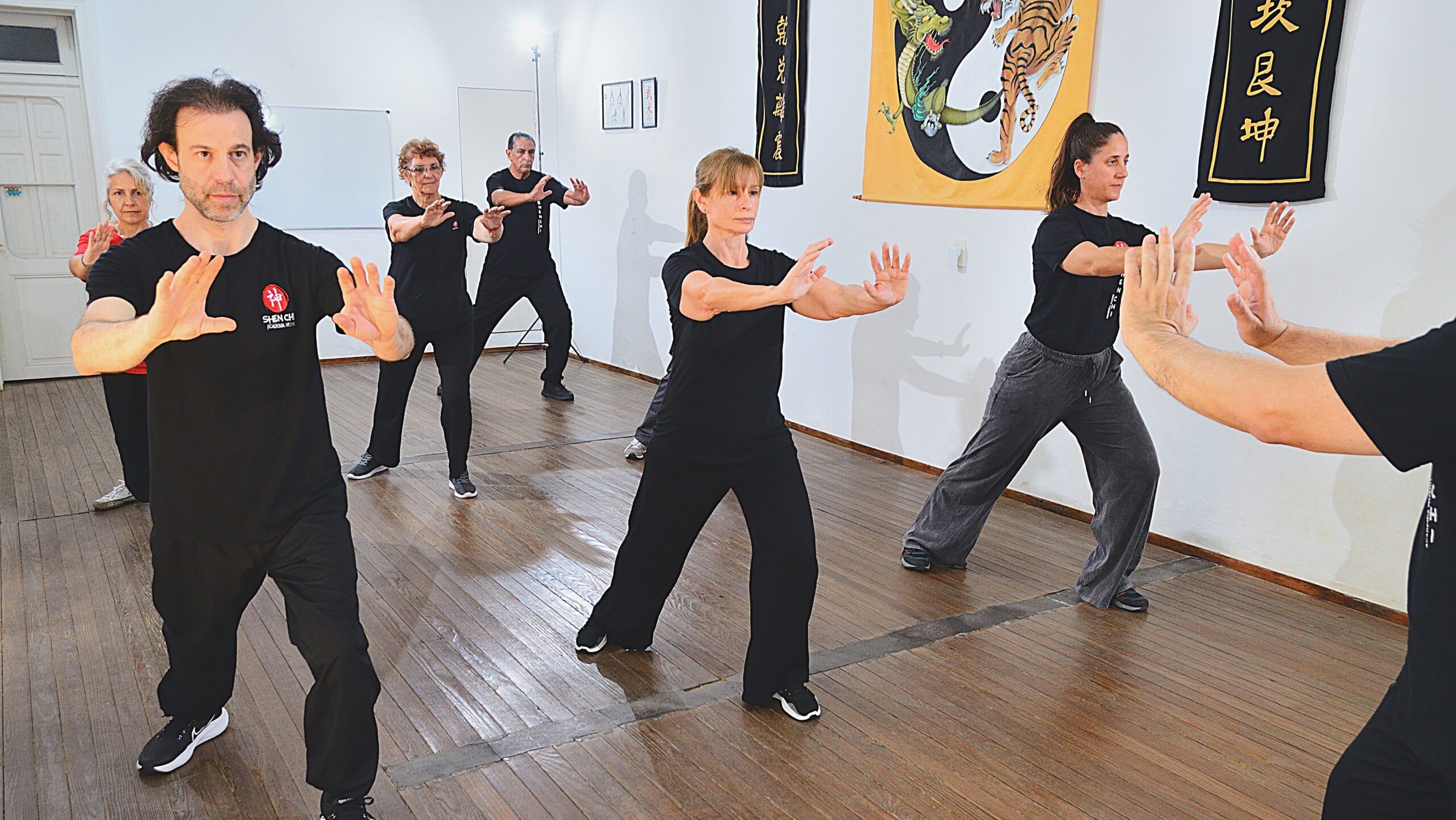 Tai Chi Shen Chi